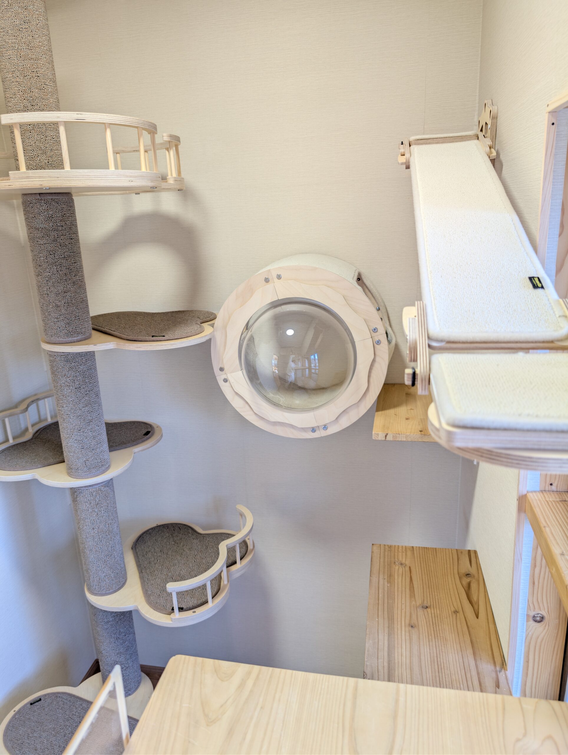 スイートルーム