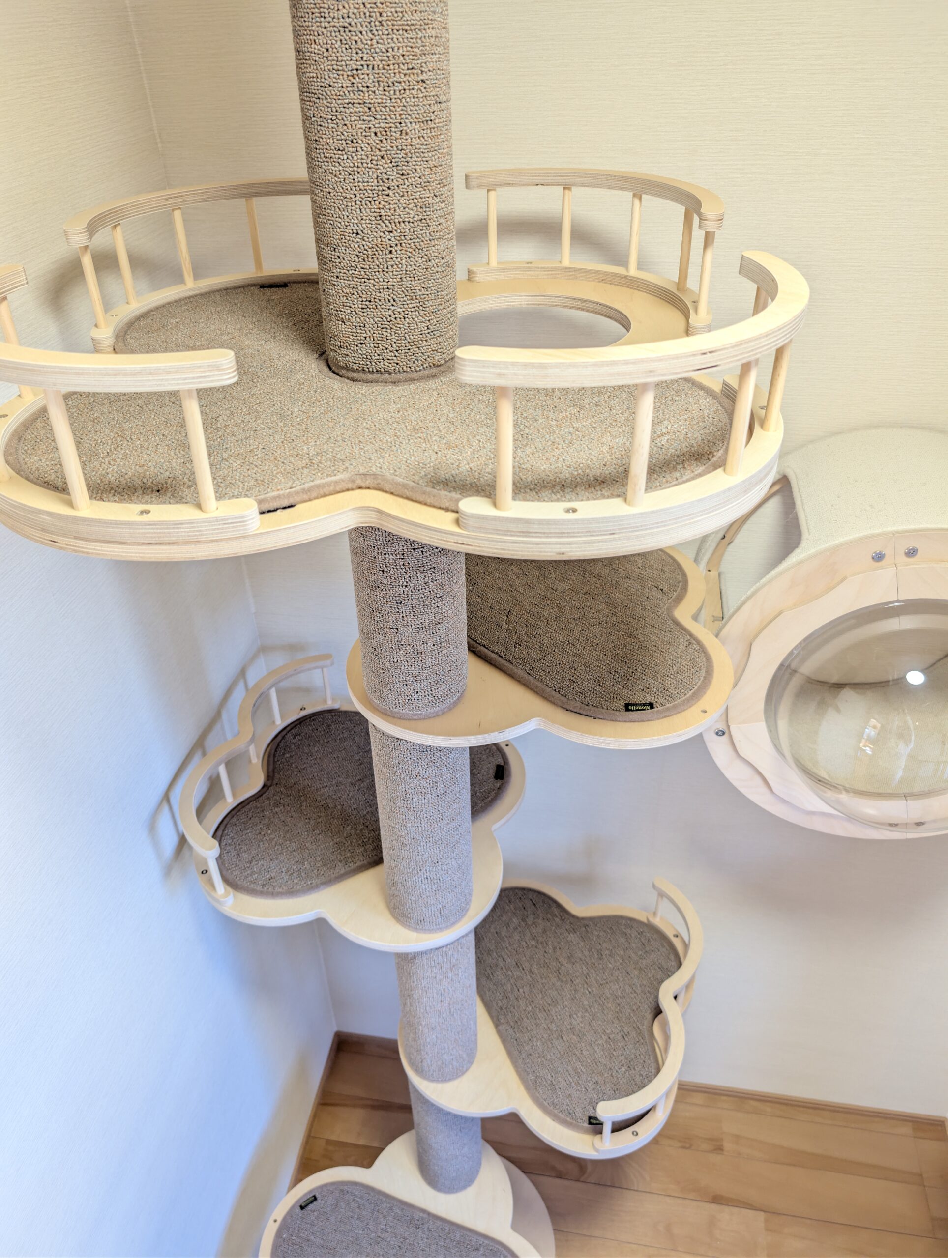 スイートルーム