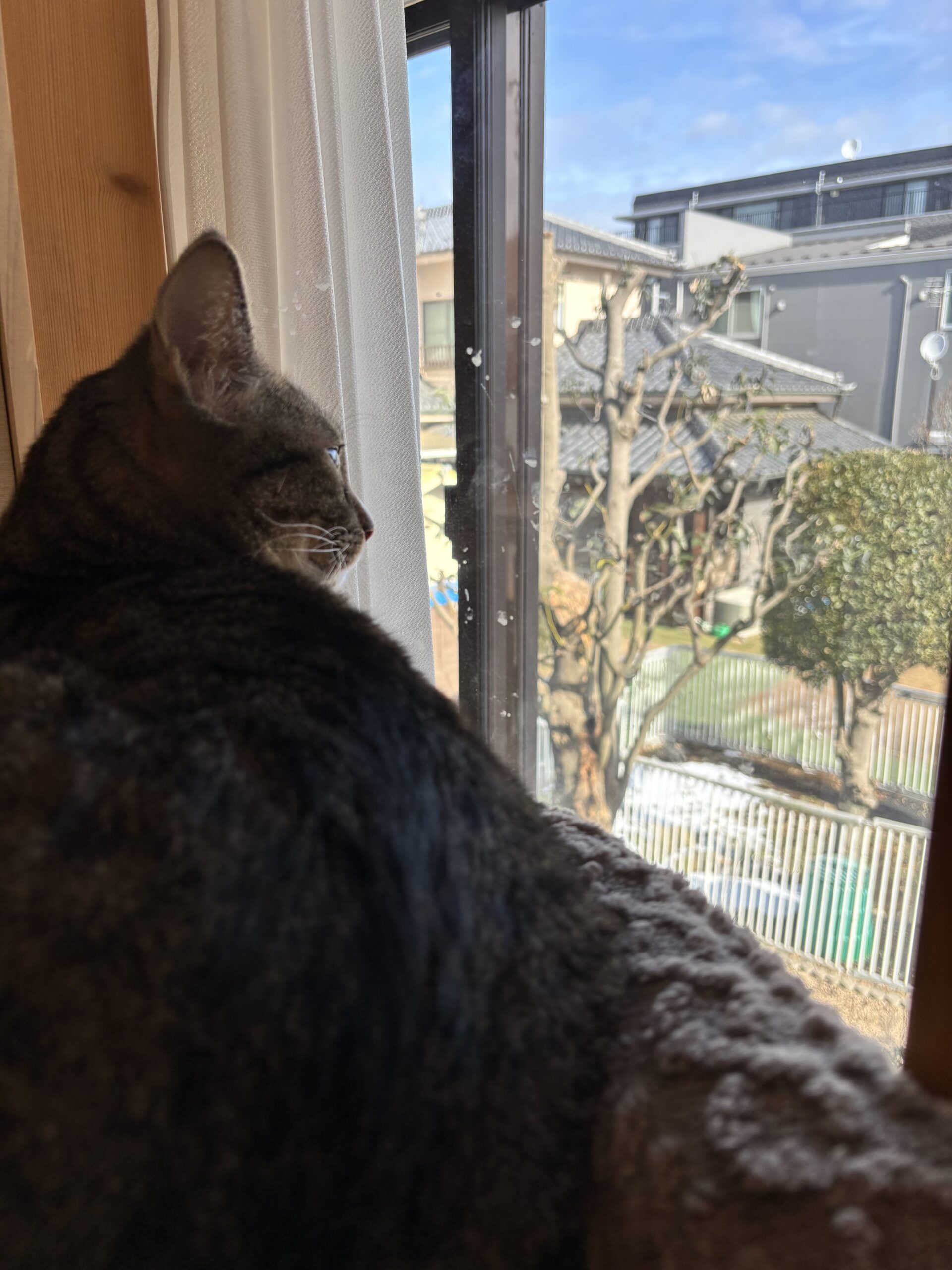 デラックスルーム