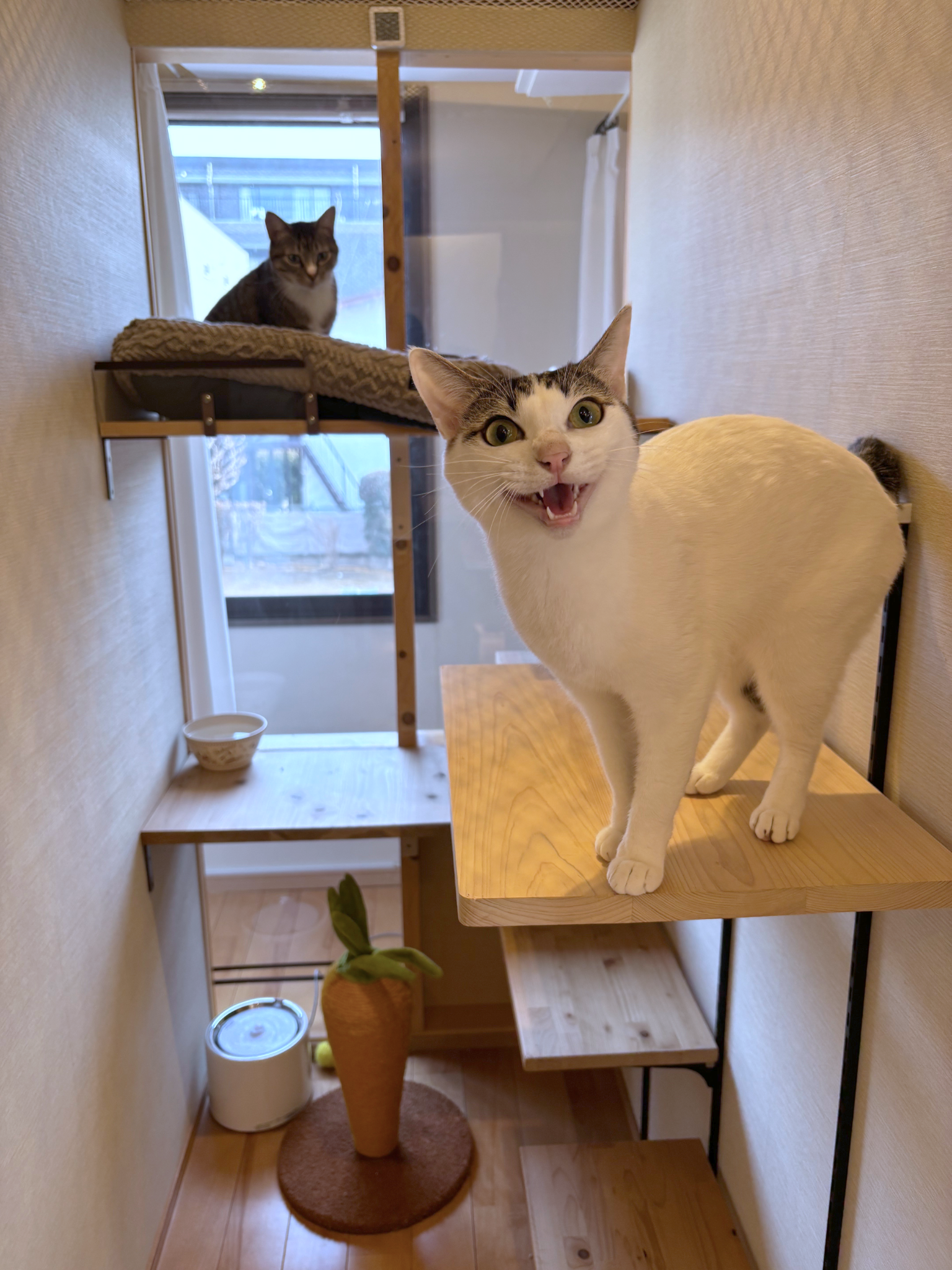 デラックスルーム