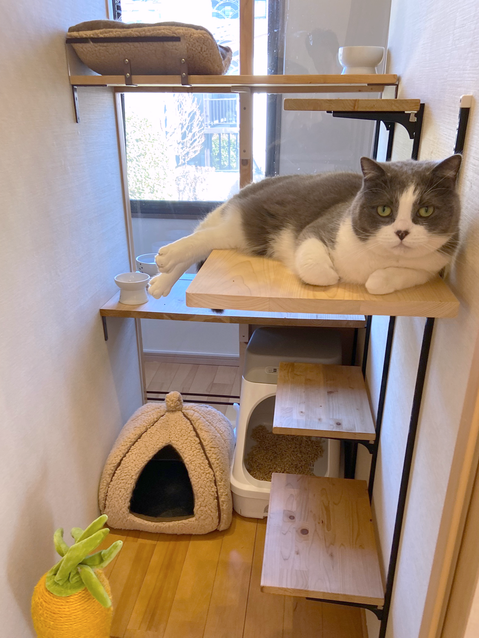 デラックスルーム