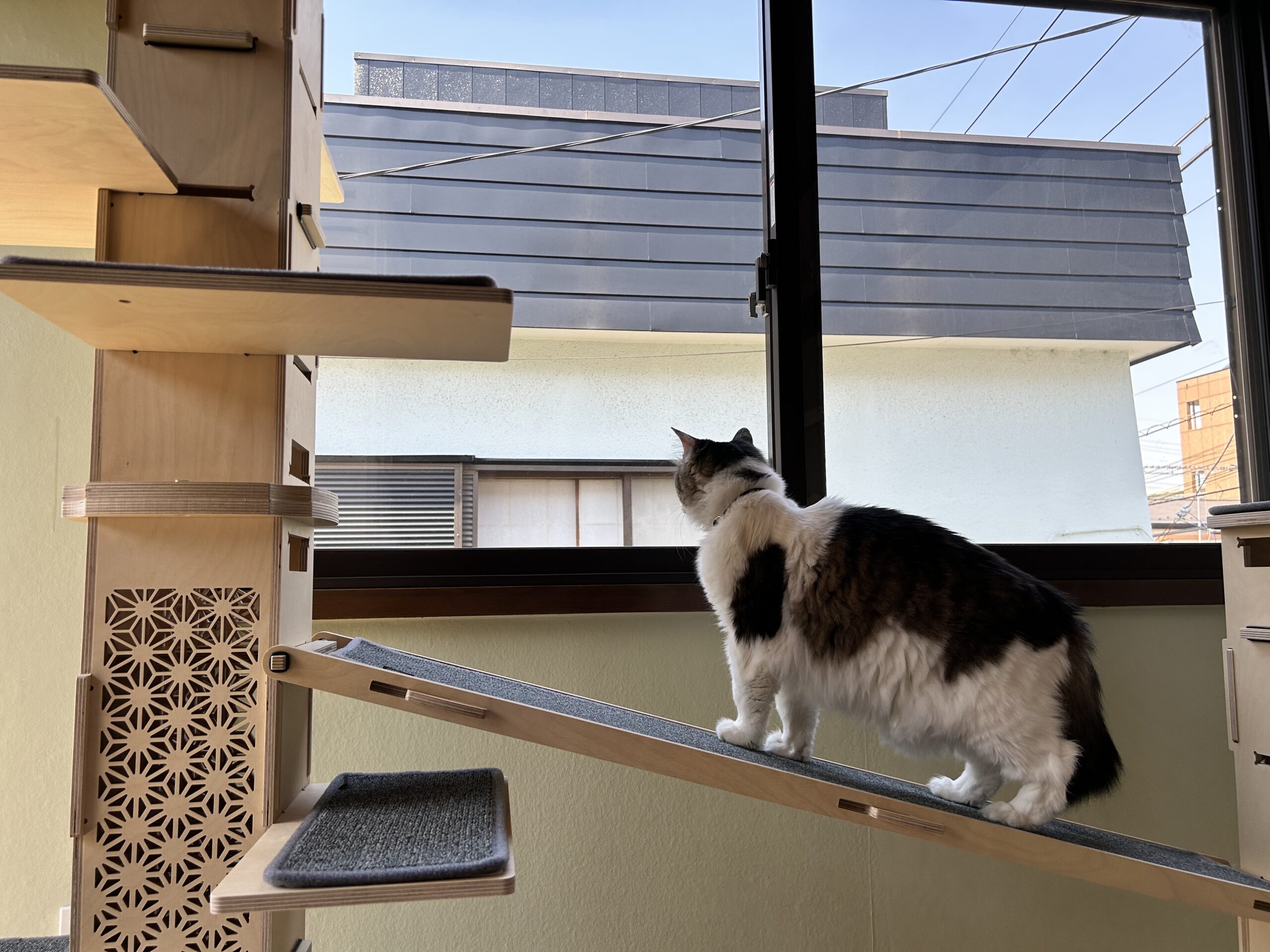 プレミアスイートルーム