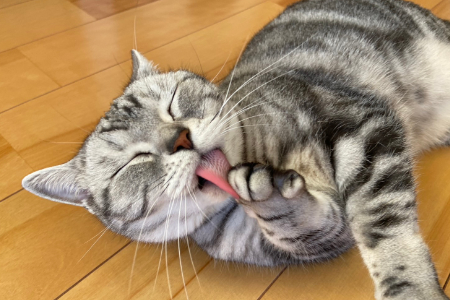 まったりタイム